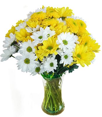 Mix Encanto Amarelo
