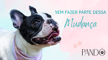 mini banner mudança