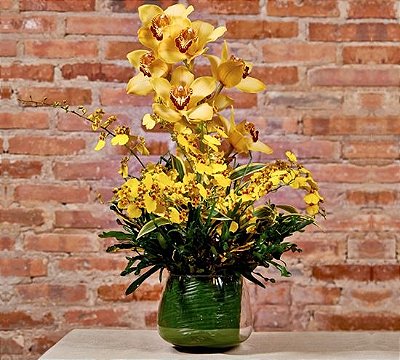 Arranjo de orquídeas