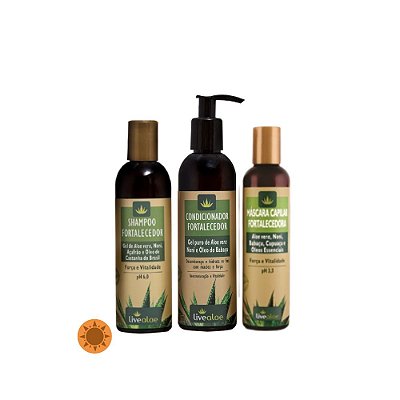 Kit Cabelos Poderosos e Fortes Livealoe