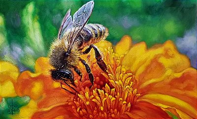 Pintura a Óleo Abelha na flor