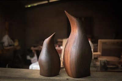 Pingüim de Madeira - Ipê