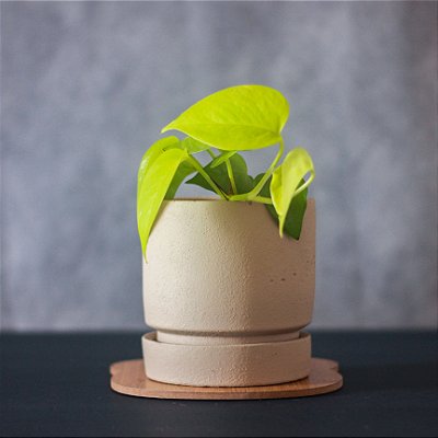 Cachepot em Cimento Nude com Prato