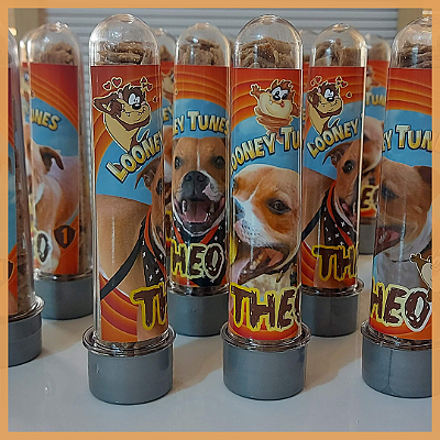 Kit Aniversário Pet 10 Latinhas + 10 Tubetes