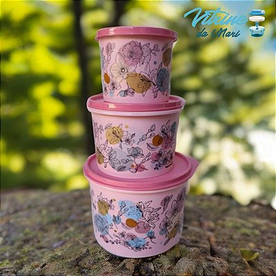 KIT TUPPERWARE CAIXAS ORQUÍDEAS 3 peças ( 1,1L, 2,4L e 500ml)