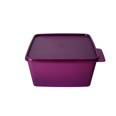 BASIC LINE TUPPERWARE 2,5L ROXO