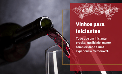 Vinhos para Iniciantes