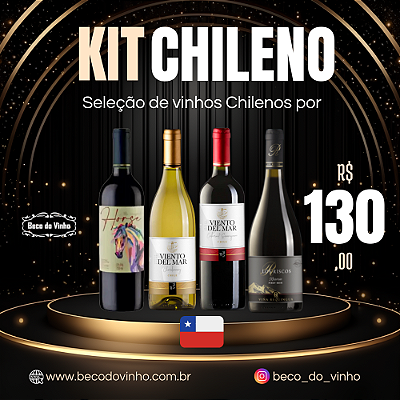 Kit Chileno – Seleção Exclusiva Beco do Vinho