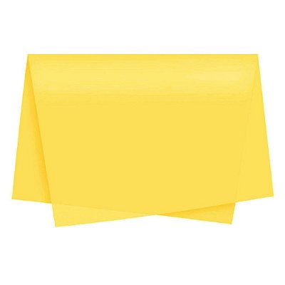 Poli Sujinho Liso Amarelo 49x69cm Xingó Embalagens