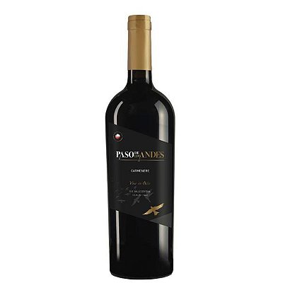 V PASO DE LOS ANDES CARMENERE CHI 750ML