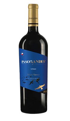 V PASO LOS ANDES SYRAH CHI 750ML
