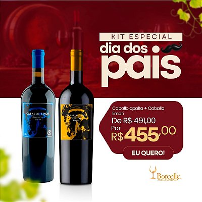 Kit Vinho Caballo Loco Apalta + Caballo Loco Limari