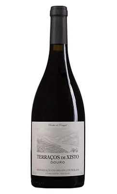 V RAVASQUEIRA TERRAÇOS DE XISTO DOP POR 750ML