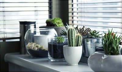 DECORAÇÃO