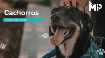 Categoria - Cachorros