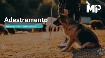 Categoria - Adestramento