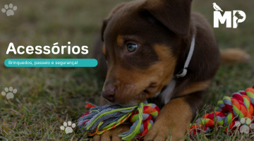 Categoria - Acessórios