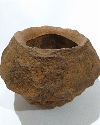 Sapucaia
