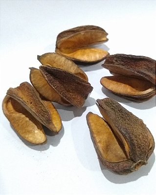 Vochysia Tucanorum