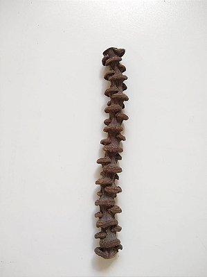 Haste de Bananeira