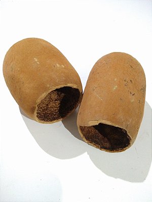 Cupuaçu M