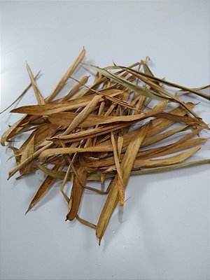 Folhas de Bambu