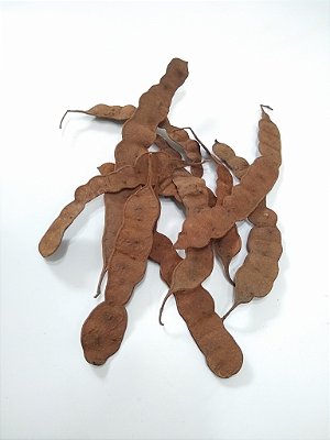 Capsula Angico