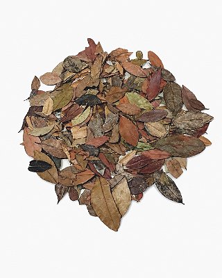 Folhas de Myrcia 20g