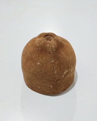 Cupuaçu G Metade