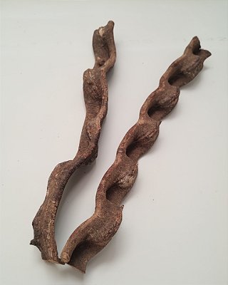 Cipó Bauhinia