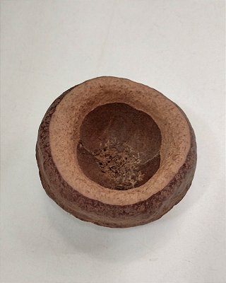 Sapucaia Mini