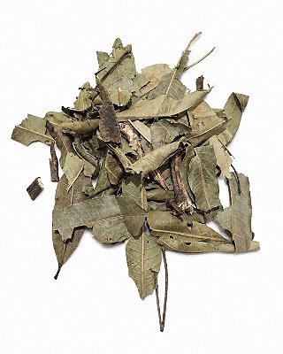Folha de Mangueira 50g