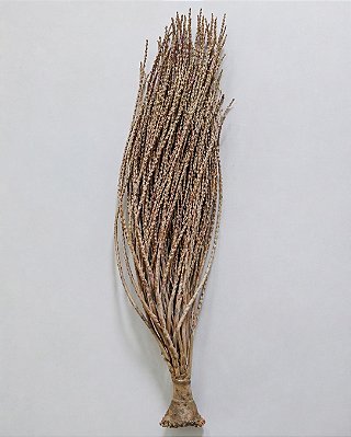 Cacho de Açaí