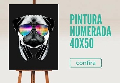 PINTURA NUMERADA 40x50