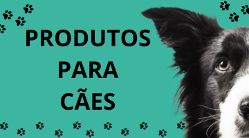 produtos cachorro