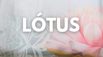 Lótus MB
