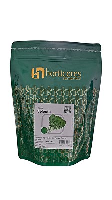 Semente Rucula Selecta (folha Larga) 500g