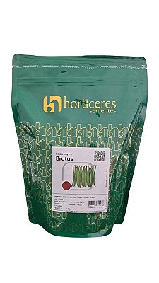 Semente Feijao Vagem Brutus 1kg