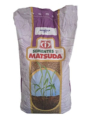 Capim Mombaça Nua 15kg – Ideal para Pastagem de Bovinos