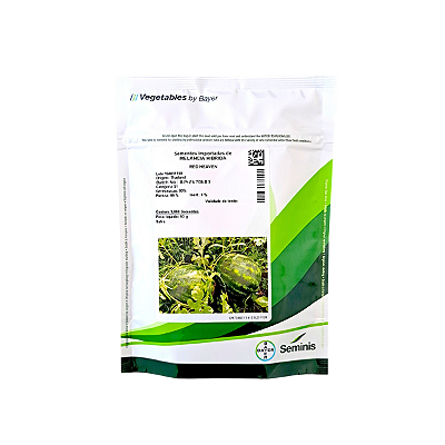 1000 Sementes Melancia Híbrida Red Heaven Seminis Frutos Grandes