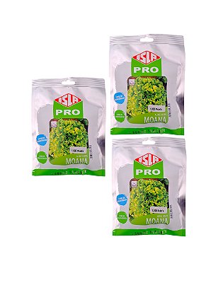 Alface Crespa Moana 1000 Sem Peletizadas Alta Performance KIt 3Uni