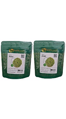Semente Alface Crespa Ariel Peletizada Horticeres 5.000 2 Pacotes