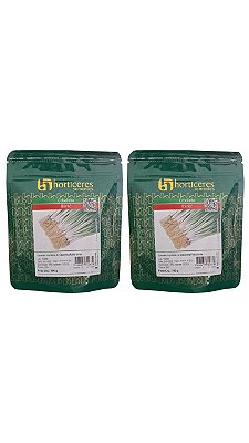 Semente Cebolinha Ibirité Horticeres 100g 2 Pacotes