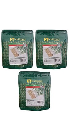 Semente Cebolinha Ibirité 100g Horticeres 3 Pacotes