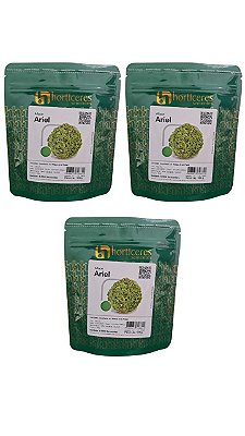Semente Rucula Selecta Folha Larga 500g Horticeres 3 Pacotes