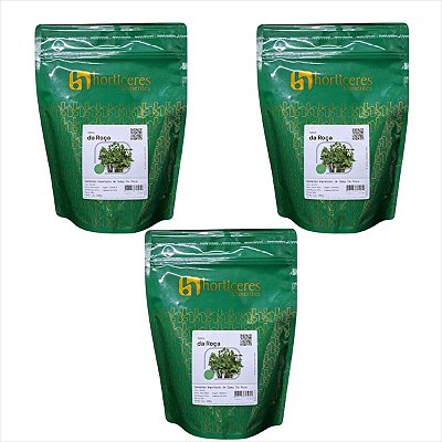 Semente Salsa Da Roça Horticeres 500g 3 Pacotes