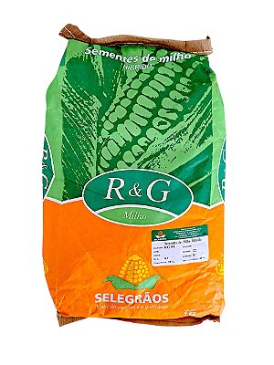 5 Kg Milho Selegrão Híbrido Rg01 - Ideal Para Silagem