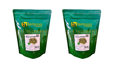 Sementes De Espinafre Nova Zelândia 200G Horticeres Produtiva 2 Unid.