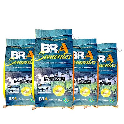 Capim Mombaça 40Kg Semente Incrustada Para Formar Pastagem