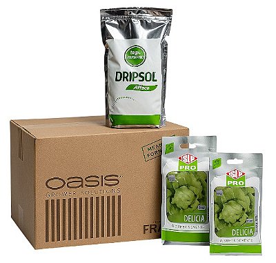 Kit Completo Hidroponia | Espuma Fenólica 345 Células + Dripsol Alface 750g + 84G Sementes Americana Delícia